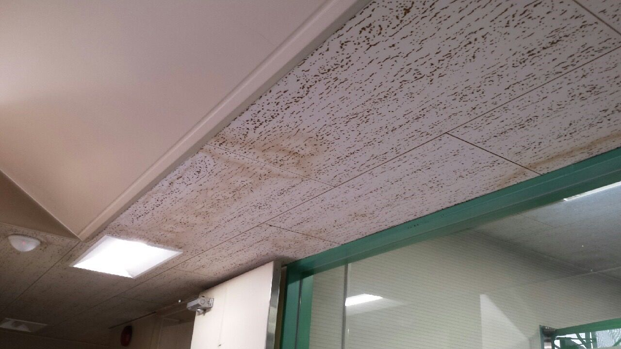 雨漏りを放置したらどうなるの？