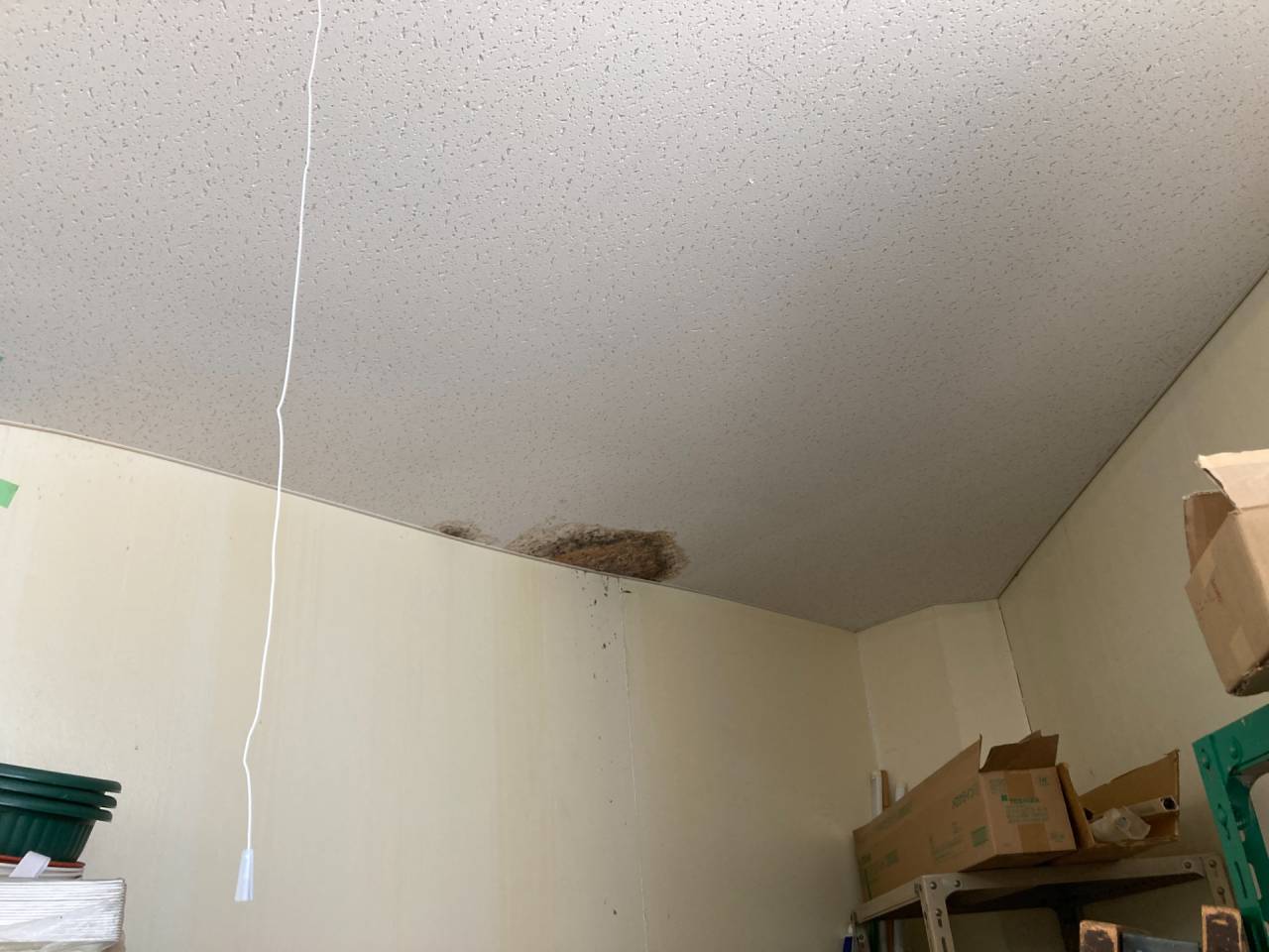 天井にシミができている場合