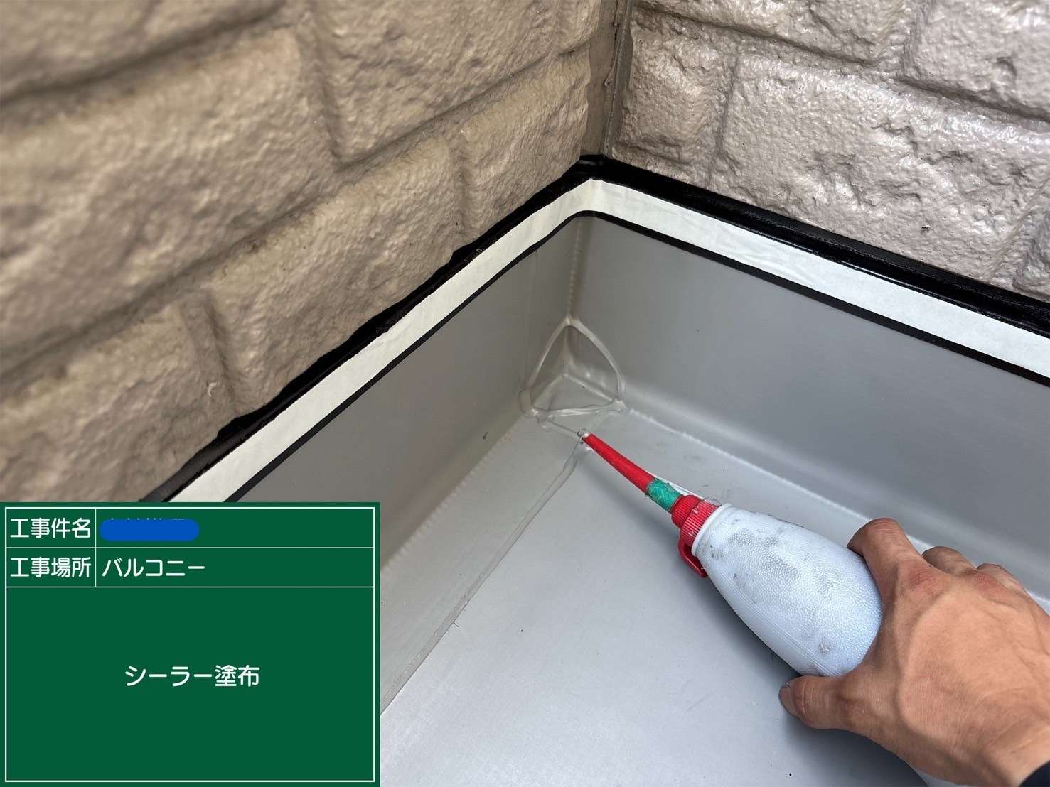 シーラー塗布