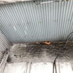 屋根防水の点検 施工前