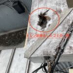 屋根防水の点検 工事写真
