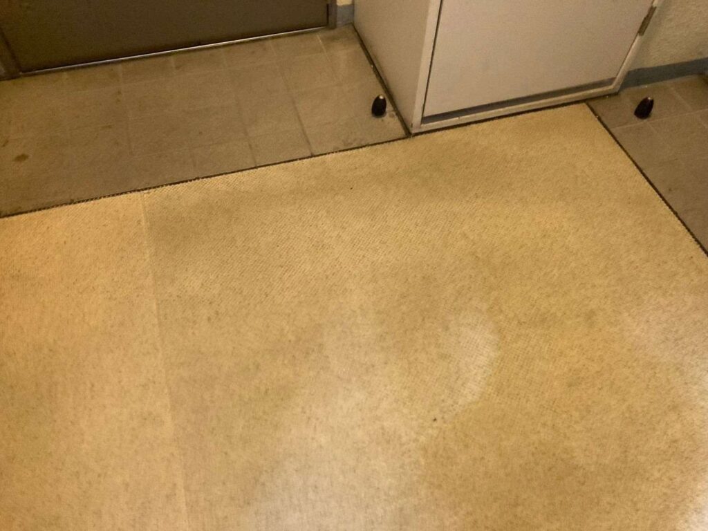 マンション屋内廊下、長尺シート防水工事 工事写真
