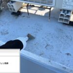 吹田市　会社ビル屋上塩ビシート防水工事 工事写真