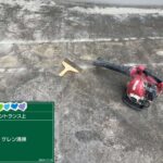 京都府京都市　足場・シール・防水・塗装 工事写真
