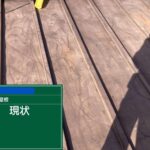 堺市　塗装工事とシーリング工事 工事写真