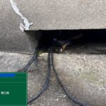 天王寺区ビル　屋上防水 工事写真